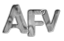 America's Funniest Home Videos - KiwiTech