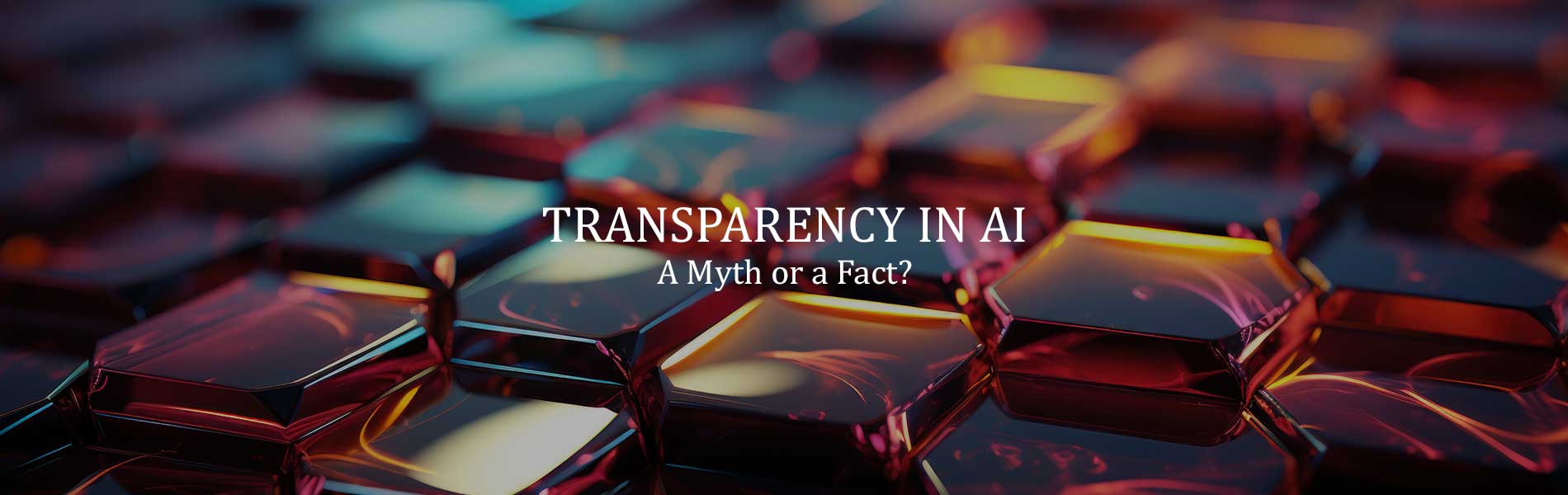 Transparency in AI: A Myth or a Fact?